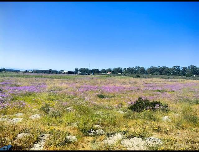 LAND FOR SALE IN HARTEBEESFONTEIN